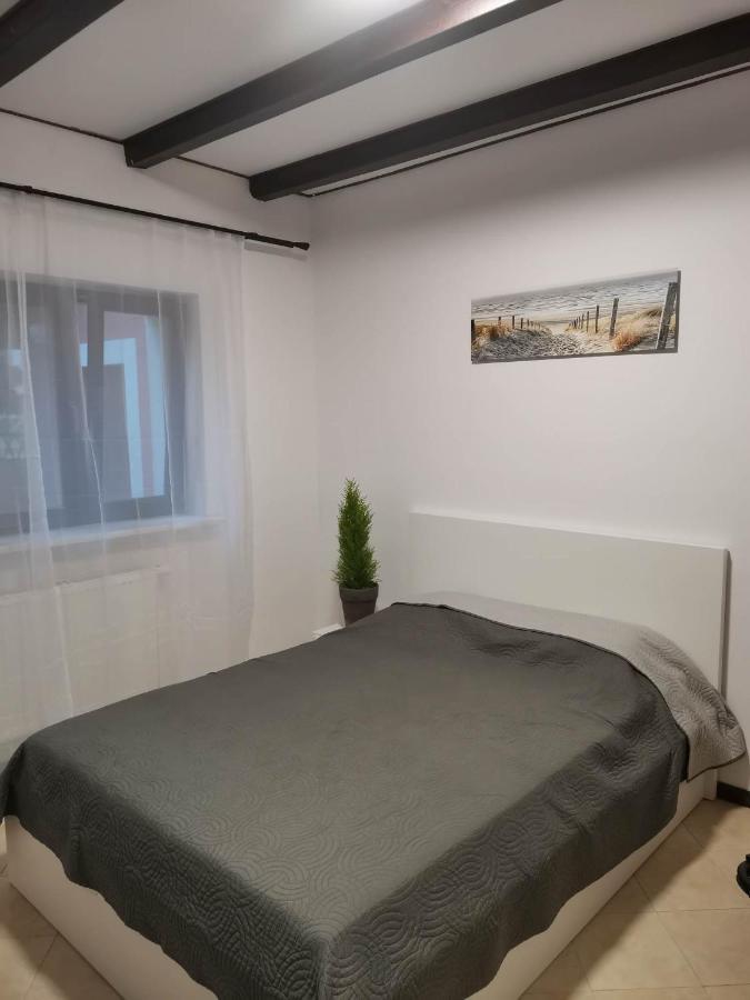 Urocze Studia W Lomiankach, 1- Z Sauna I Tarasem, 2- Z Kominkiem, 3- Ekonomiczne, 7Km Metro Mlociny Warszawa Łomianki Esterno foto