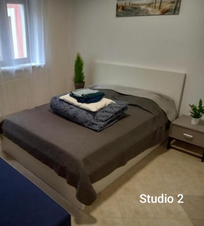Urocze Studia W Lomiankach, 1- Z Sauna I Tarasem, 2- Z Kominkiem, 3- Ekonomiczne, 7Km Metro Mlociny Warszawa Łomianki Esterno foto